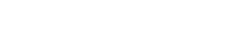 Speyhawk Services