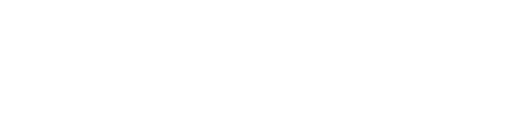 Speyhawk Services